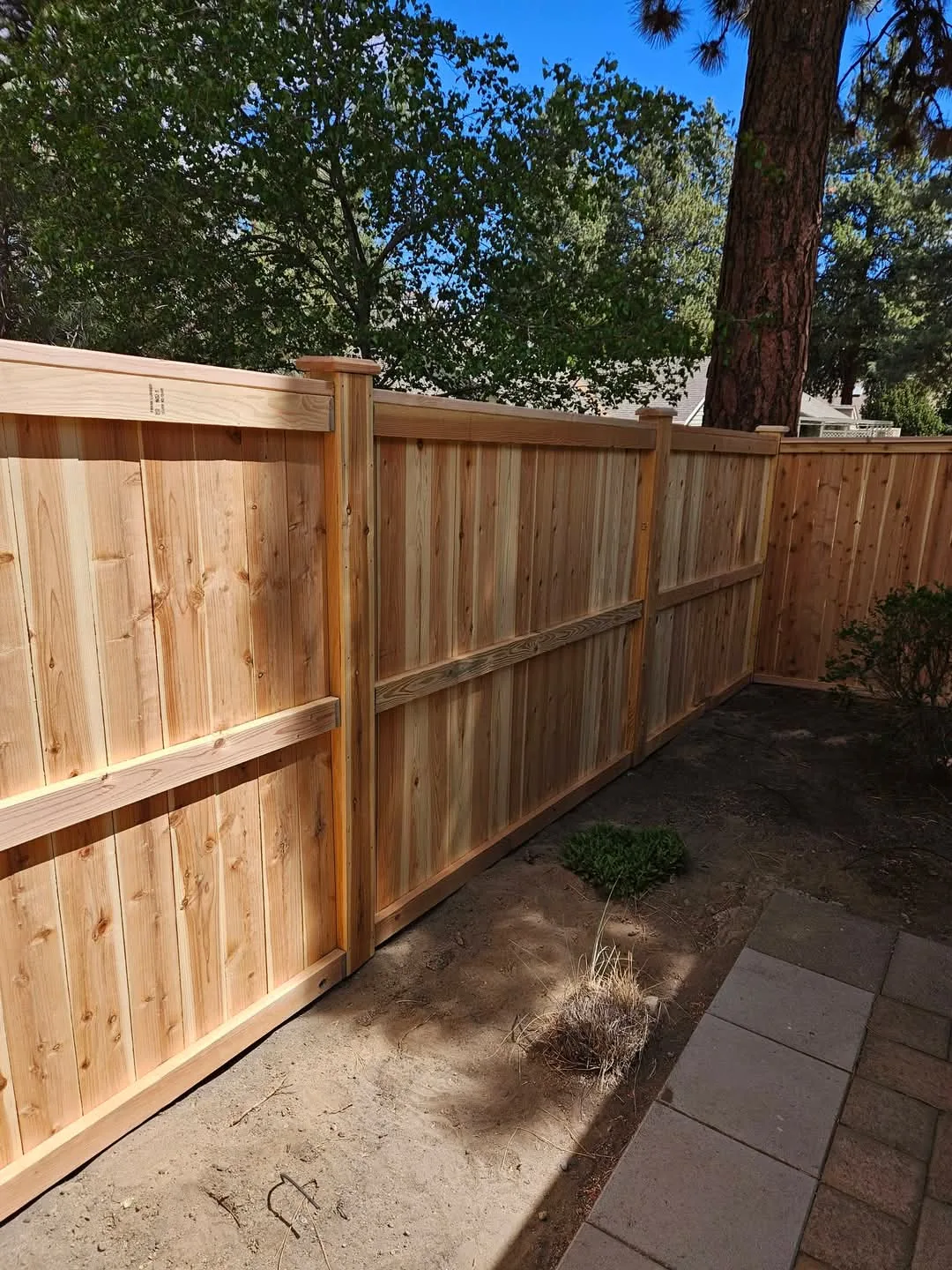 Warm wood privacy fencing set against trees