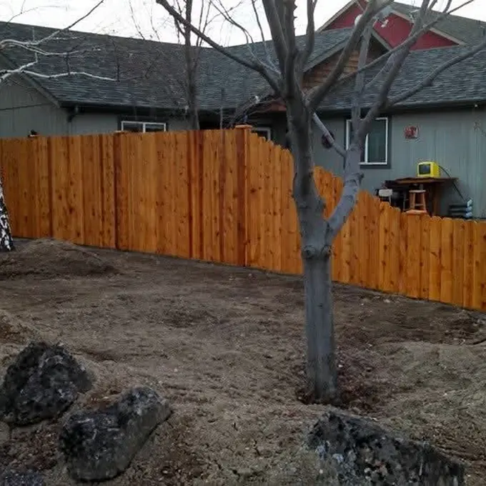 Backyard fence among trees